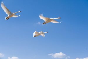 Cloud Migration Checklist: Preparing Data Before the Move