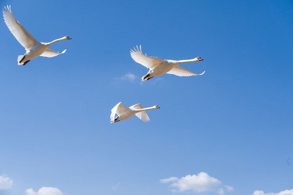 cloud migration checklist