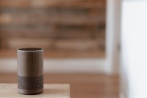 Smart Speaker Privacy Settings You Should Review